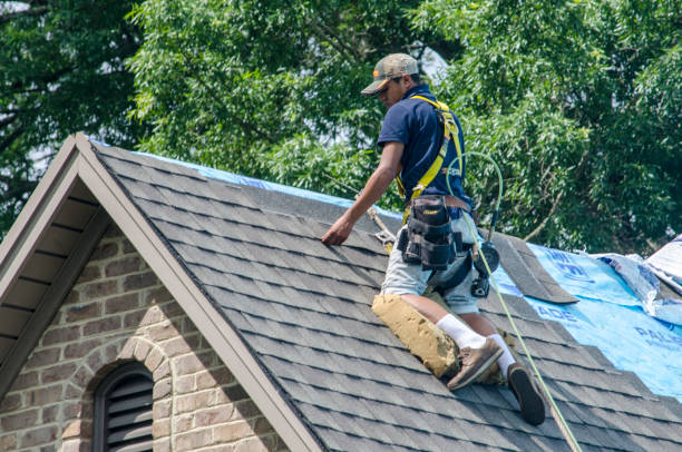 Best Roof Gutter Cleaning  in Hopelawn, NJ